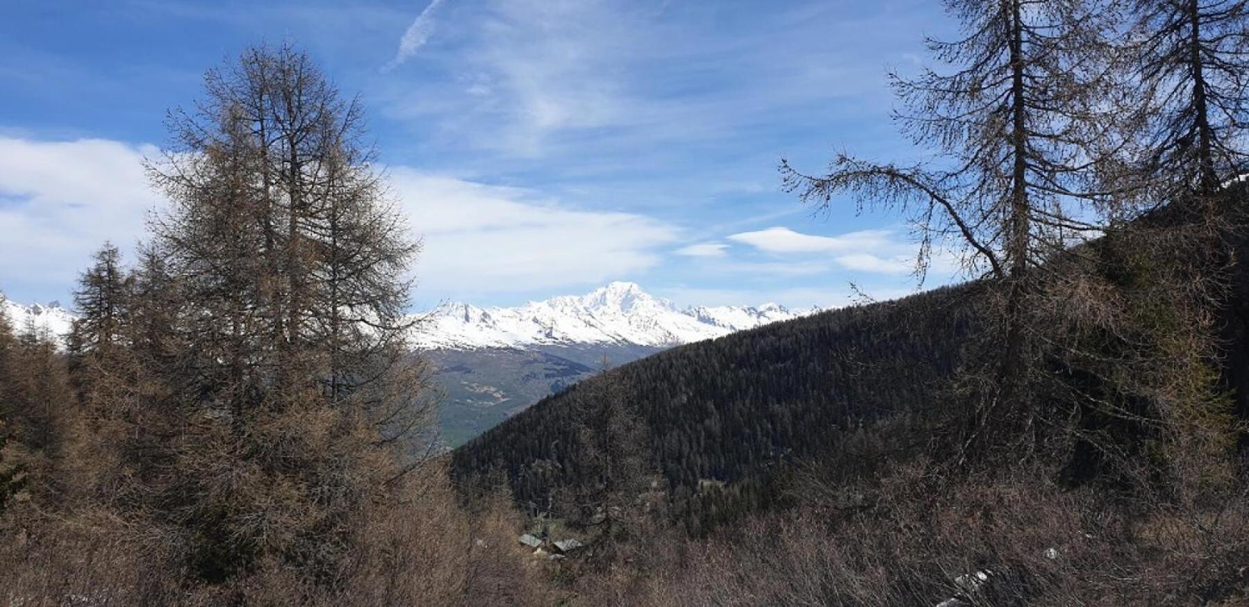 Residence Plagne Lauze - Maeva Home - Studio 2 Personnes - Selection Mae-9201 Macot-la-Plagne 외부 사진